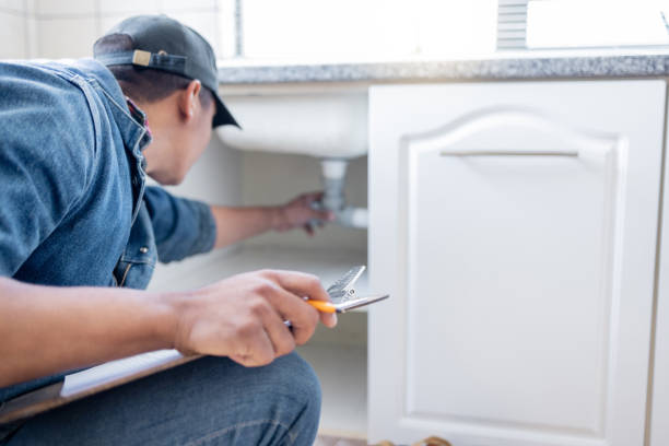 Best Clogged Drain Plumber  in Darien, WI