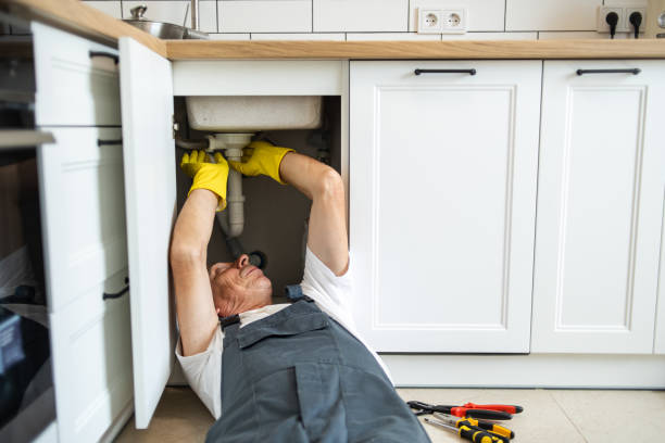 Best Toilet Repair Services  in Darien, WI